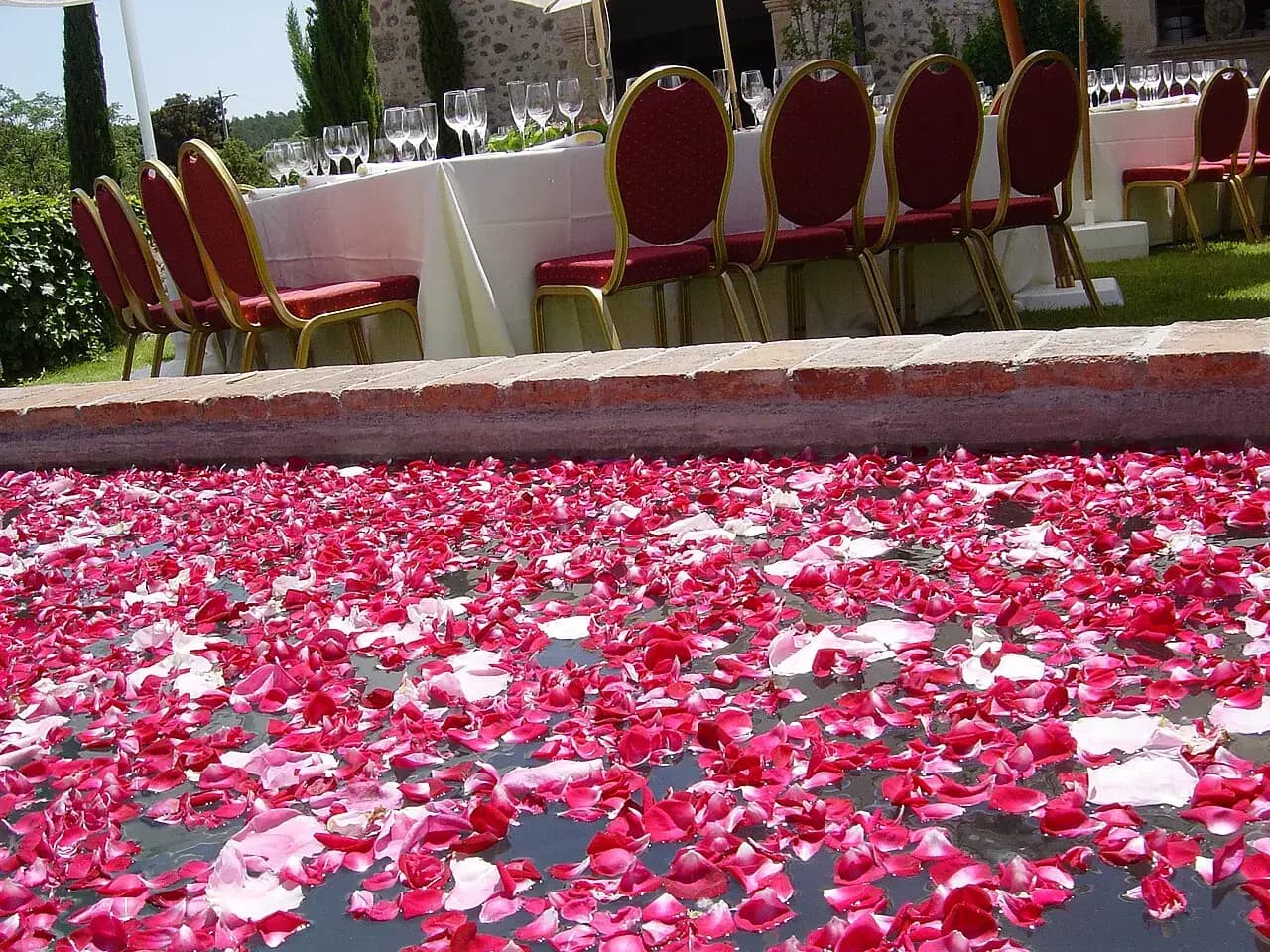Catering Hizmeti hizmeti için etkinlik fotoğrafı